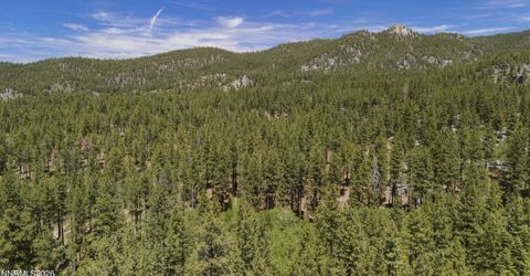 196 Meadow Lane, Stateline, NV 89449 Photo