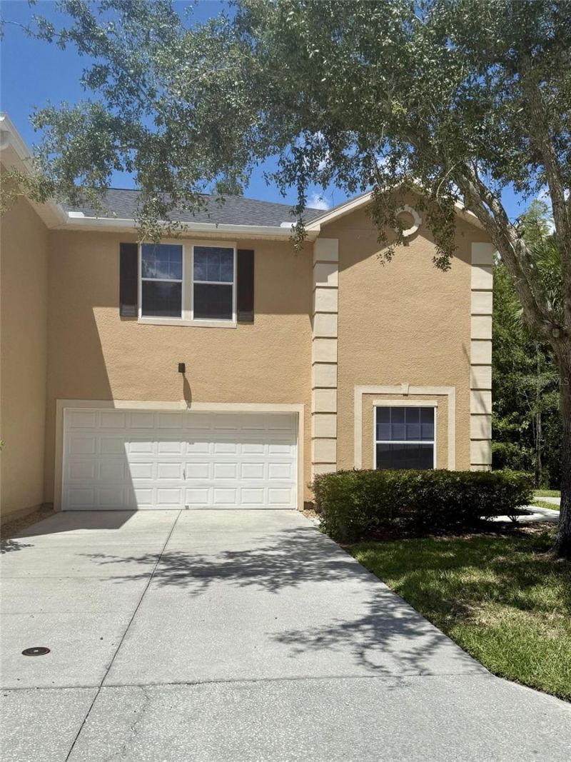 16322 PARKSTONE PALMS COURT  Tampa, FL 