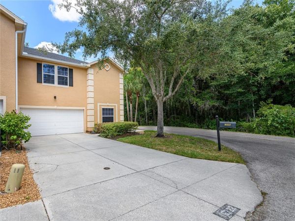16322 PARKSTONE PALMS COURT , TAMPA, FL 33647