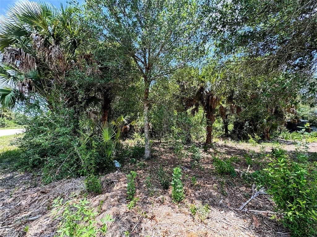1178 Northside Rd, Moore Haven, FL 33471 Photo