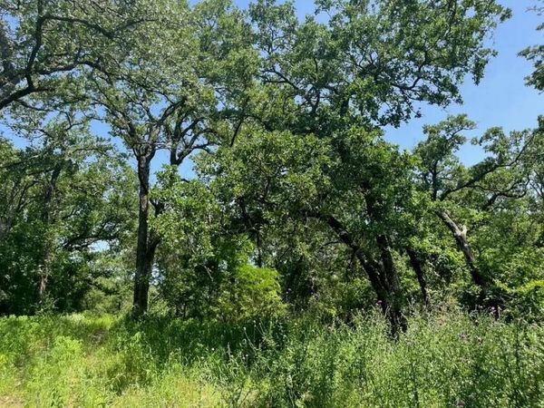 Lot 44 Antrim Court , Poolville, TX 76487