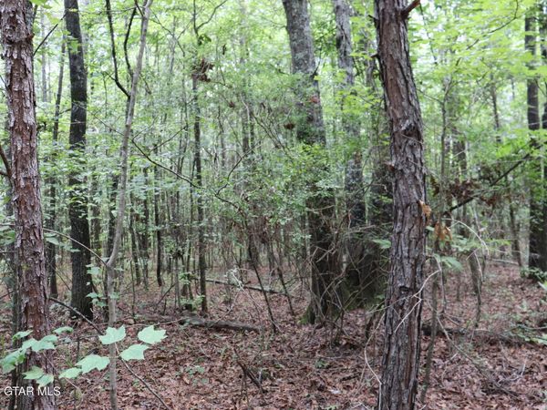 Dixie Road, Woodland, MS 39776