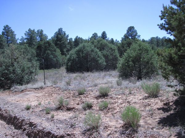 16 Camino Circular , Tijeras, NM 87059