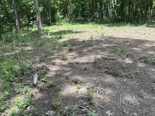 0 N WATKINS RD, Millington, TN 38053