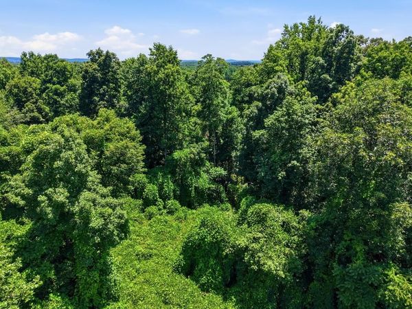 0 Bunker Hill Road, Cookeville, TN 38506
