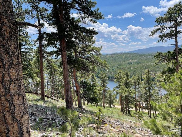 1091 Osage Trl, Red Feather Lakes, CO 80545