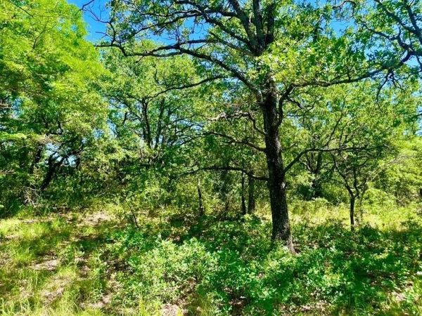 Lot 39 Kilkenny Road , Poolville, TX 76487