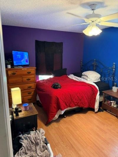 11012 Mcmullen Loop, Riverview, FL 33569 Photo