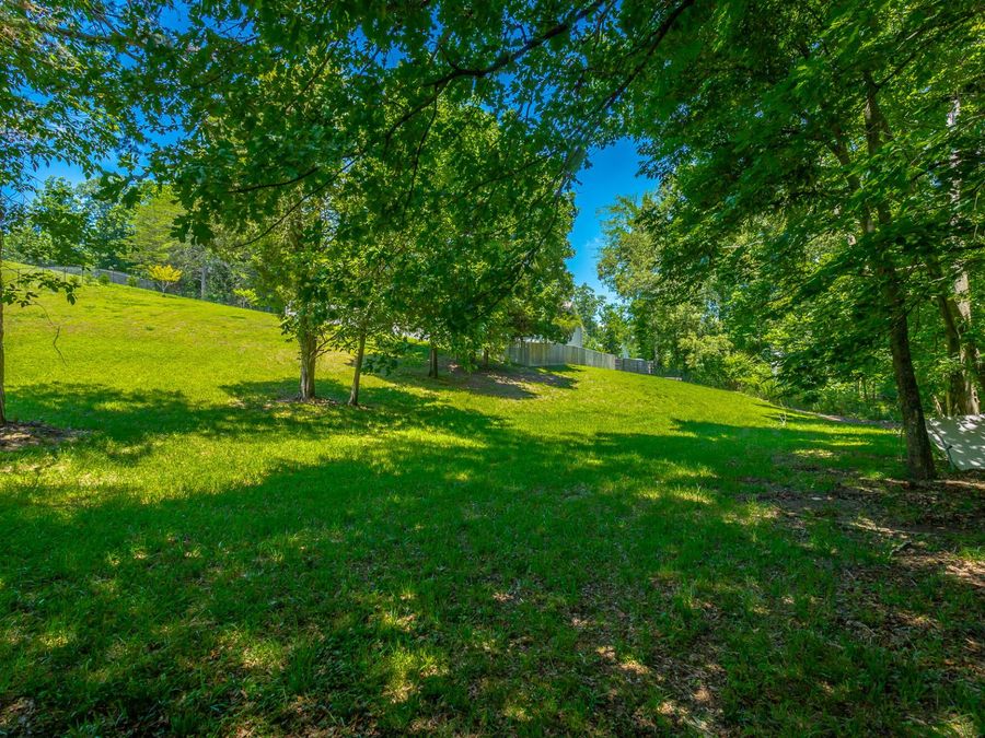Property Image 65