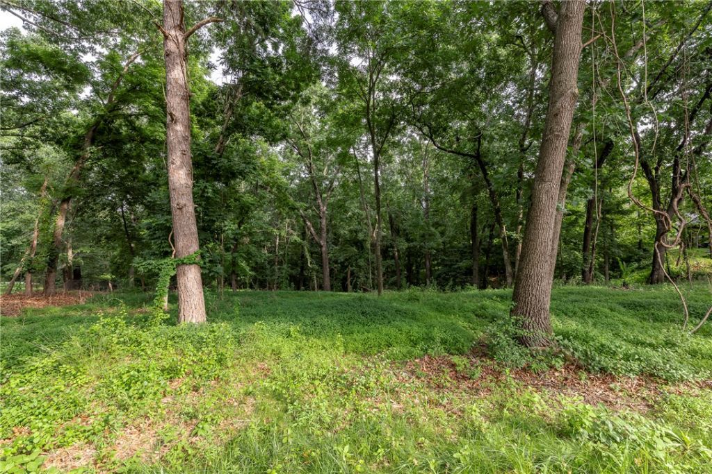 Lot 111 E Woodside Lane, Rogers, AR 72756 Main Photo