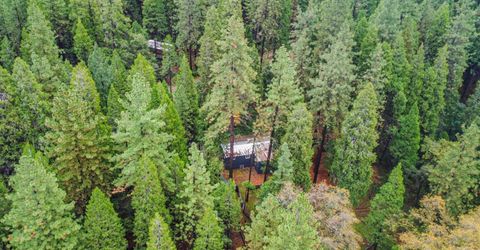 19159 Allan Rd, Volcano, CA 95689 Photo