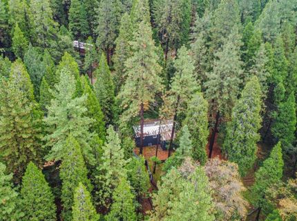 19159 Allan Rd, Volcano, CA 95689 Photo