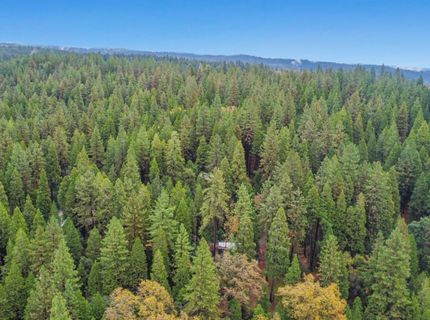19159 Allan Rd, Volcano, CA 95689 Photo