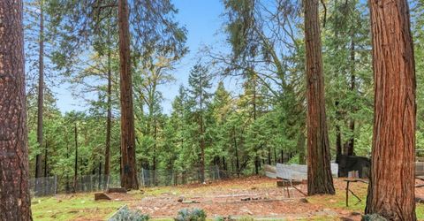 19159 Allan Rd, Volcano, CA 95689 Photo