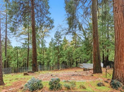 19159 Allan Rd, Volcano, CA 95689 Photo