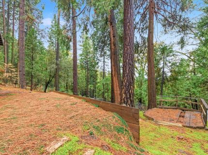 19159 Allan Rd, Volcano, CA 95689 Photo