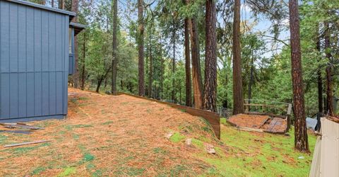 19159 Allan Rd, Volcano, CA 95689 Photo