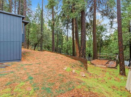 19159 Allan Rd, Volcano, CA 95689 Photo