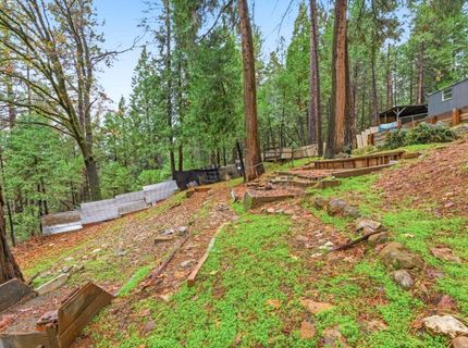 19159 Allan Rd, Volcano, CA 95689 Photo
