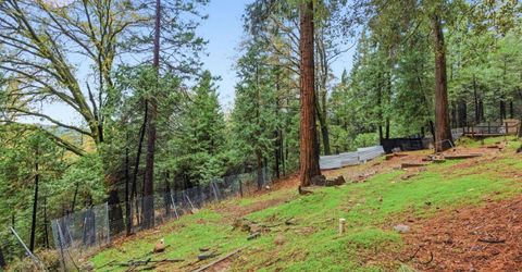 19159 Allan Rd, Volcano, CA 95689 Photo