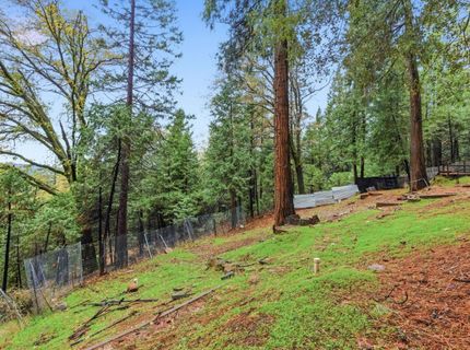 19159 Allan Rd, Volcano, CA 95689 Photo