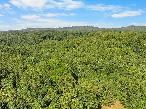 00 Echo Hollar Road, Westfield, NC 27053