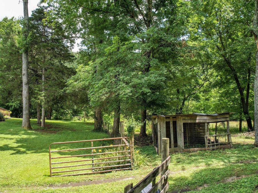 Property Image 11