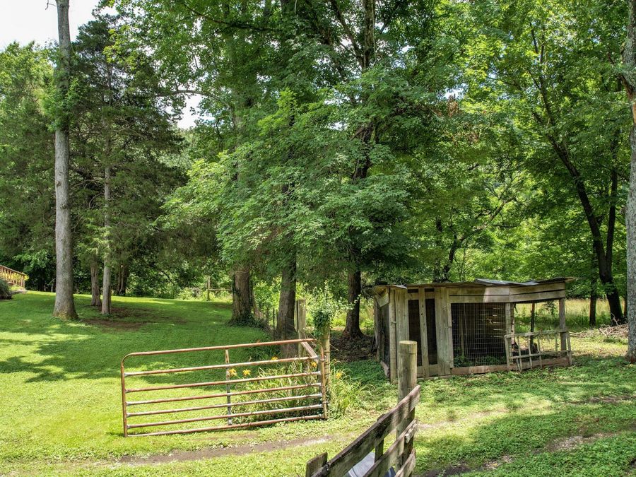 Property Image 9