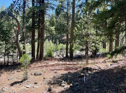 27 Kato Trail, Graeagle, CA 96103 Photo