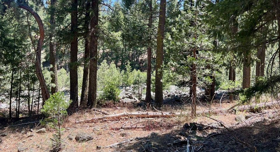 27 Kato Trail, Graeagle, CA 96103 Photo