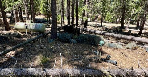 27 Kato Trail, Graeagle, CA 96103 Photo