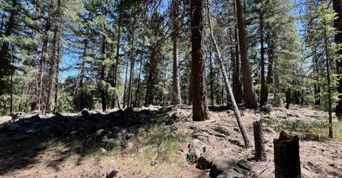 27 Kato Trail, Graeagle, CA 96103 Photo