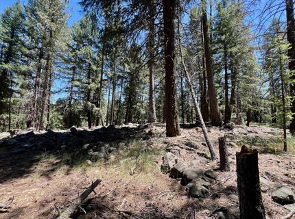 27 Kato Trail, Graeagle, CA 96103 Photo