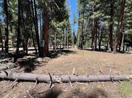 27 Kato Trail, Graeagle, CA 96103 Photo