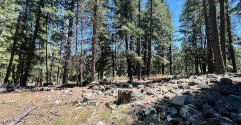27 Kato Trail, Graeagle, CA 96103 Photo