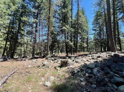 27 Kato Trail, Graeagle, CA 96103 Photo
