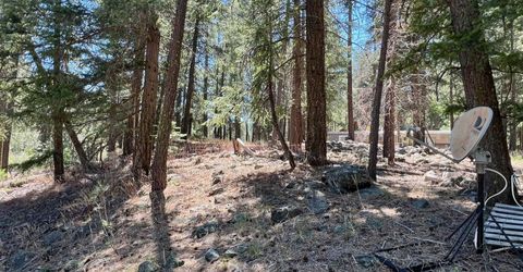 27 Kato Trail, Graeagle, CA 96103 Photo