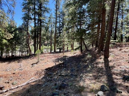 27 Kato Trail, Graeagle, CA 96103 Photo