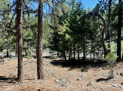 27 Kato Trail, Graeagle, CA 96103 Photo