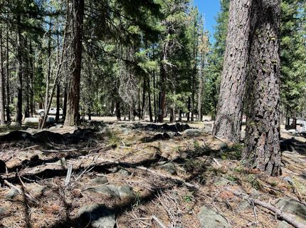 27 Kato Trail, Graeagle, CA 96103 Photo