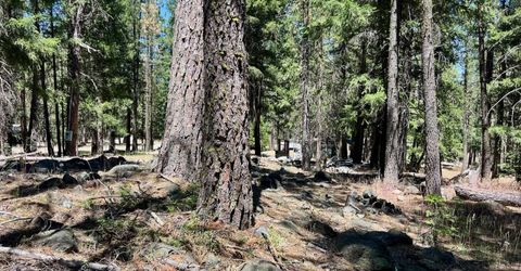 27 Kato Trail, Graeagle, CA 96103 Photo