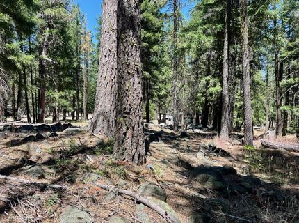 27 Kato Trail, Graeagle, CA 96103 Photo