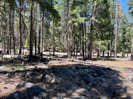 27 Kato Trail, Graeagle, CA 96103 Photo