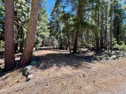 27 Kato Trail, Graeagle, CA 96103 Photo
