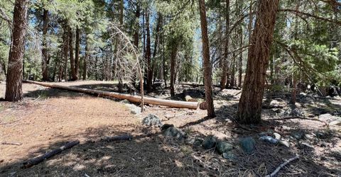 27 Kato Trail, Graeagle, CA 96103 Photo