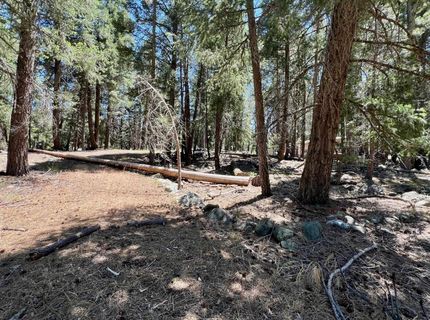 27 Kato Trail, Graeagle, CA 96103 Photo