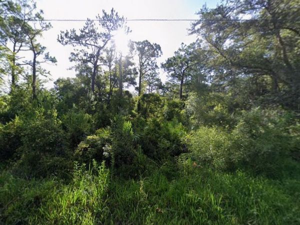 Tbd Atlee Street, New Port Richey, FL 34654
