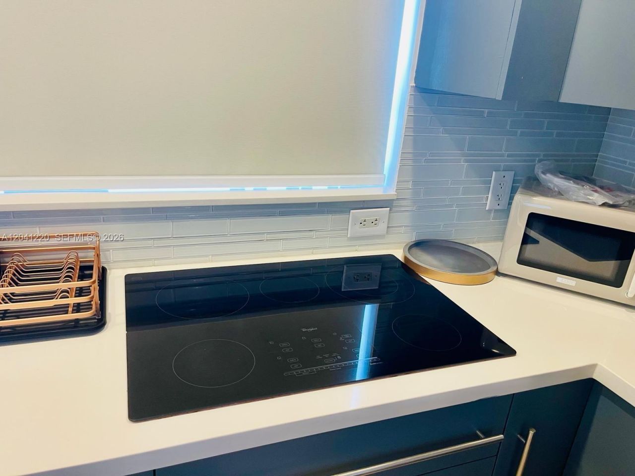 338 Roosevelt St , Unit 1001, Hollywood, FL 33019 Photo