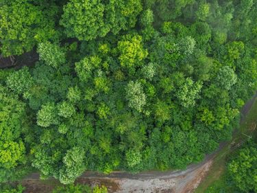911 Bradley Road, Albany, KY 42602