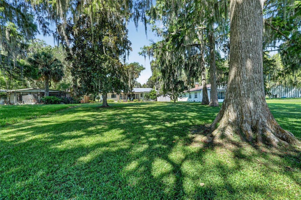 4136 Cr 400 , Lake Panasoffkee, FL 33538 Photo